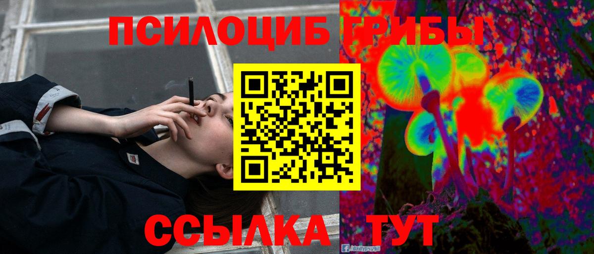 Псилоцибиновые грибы Cubensis  Вход с VPN  Галлюциногенные грибы Magic Shrooms  Якутск 